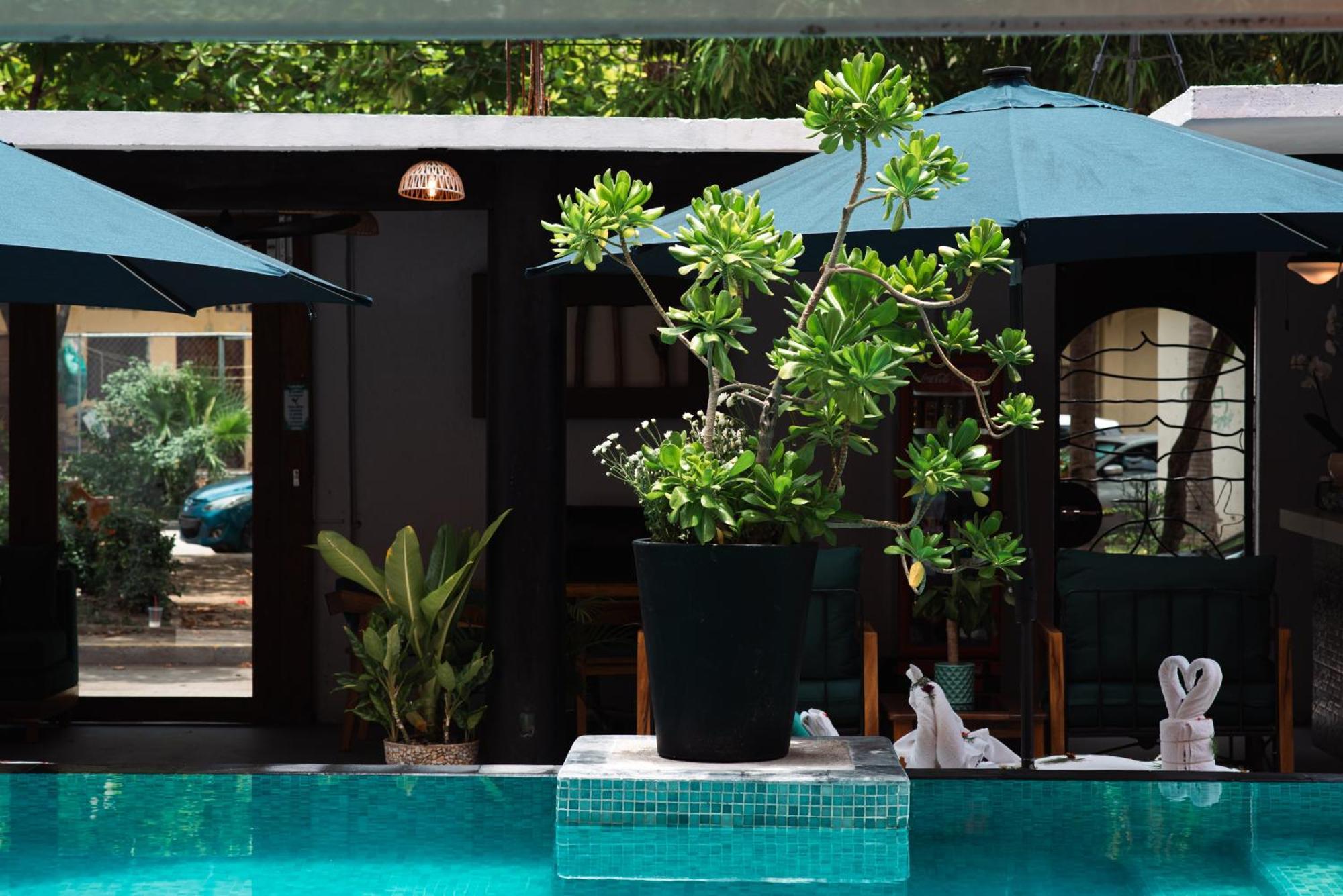 Zihua Mia Hotel Boutique Zihuatanejo Ngoại thất bức ảnh